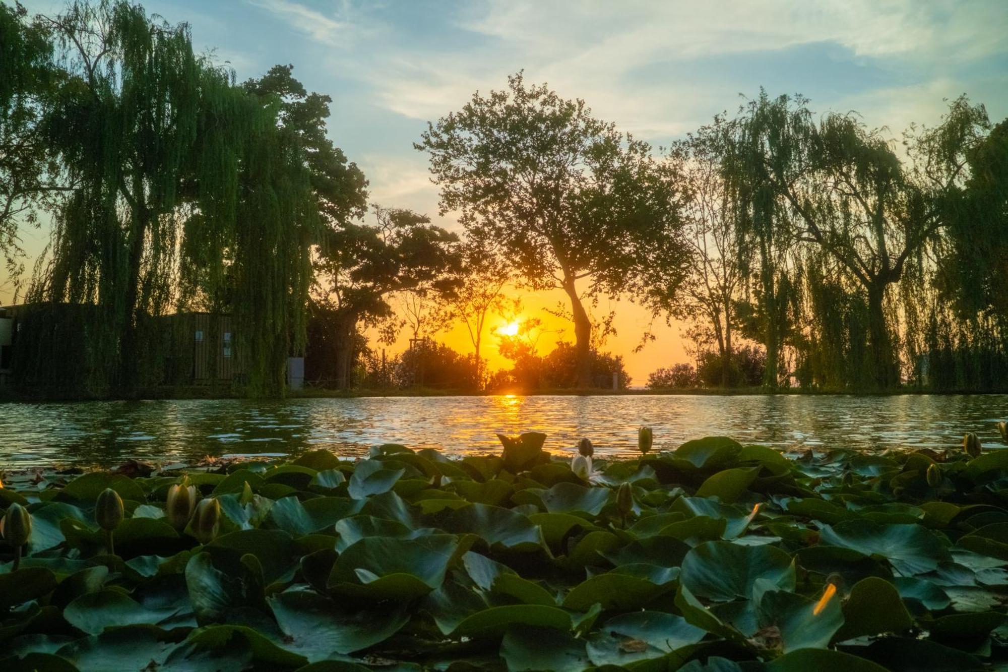 Trasimeno Glamping Resort Magione Exteriör bild